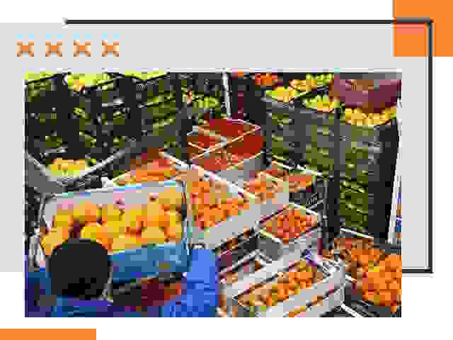 Перевозка скоропортящихся продуктов в Невинномысске
